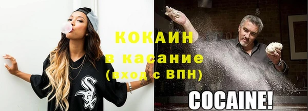 индика Алексин