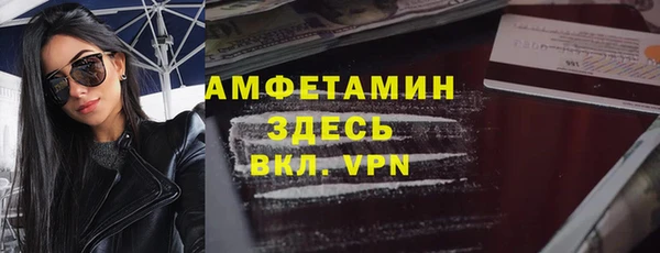 индика Алексин