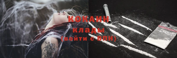хмурый Алзамай