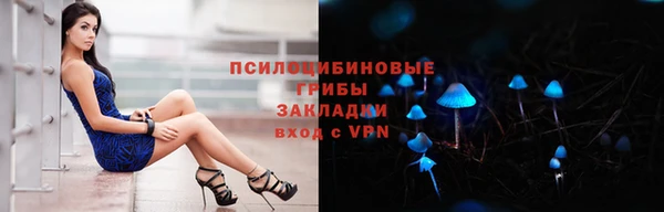 хмурый Алзамай