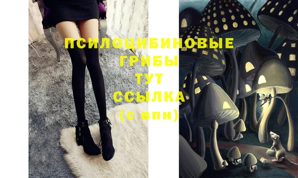 индика Алексин