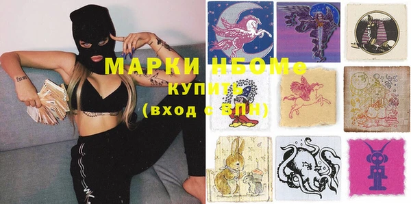 индика Алексин