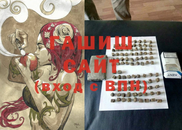 индика Алексин