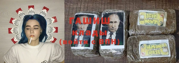 индика Алексин