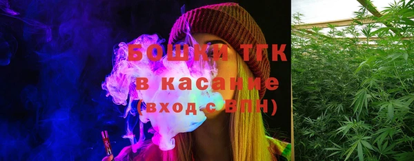 первитин Няндома