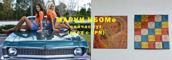 хмурый Алзамай