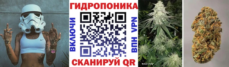 Бошки Шишки AK-47 Салехард